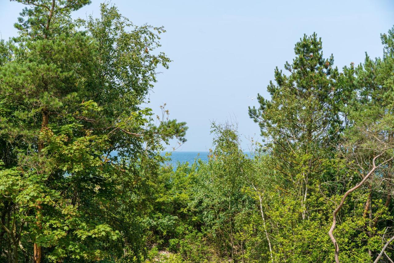 Natural Apartamenty Darlowko Kültér fotó